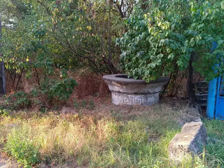 De vanzare teren intravilan cu padure – Potlogeni Vale, com. Crangurile, jud. Dambovita img 5